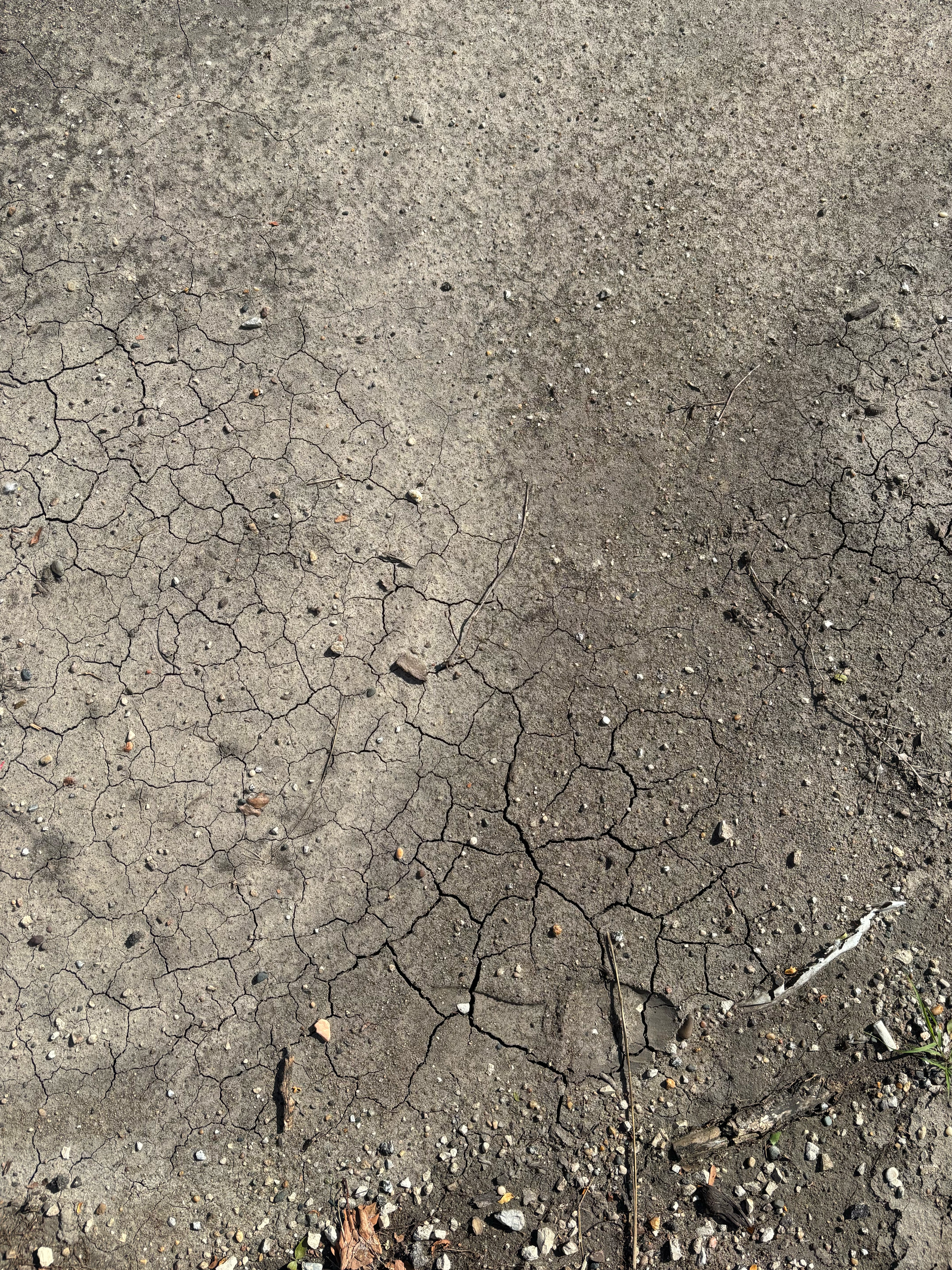 circle study 197