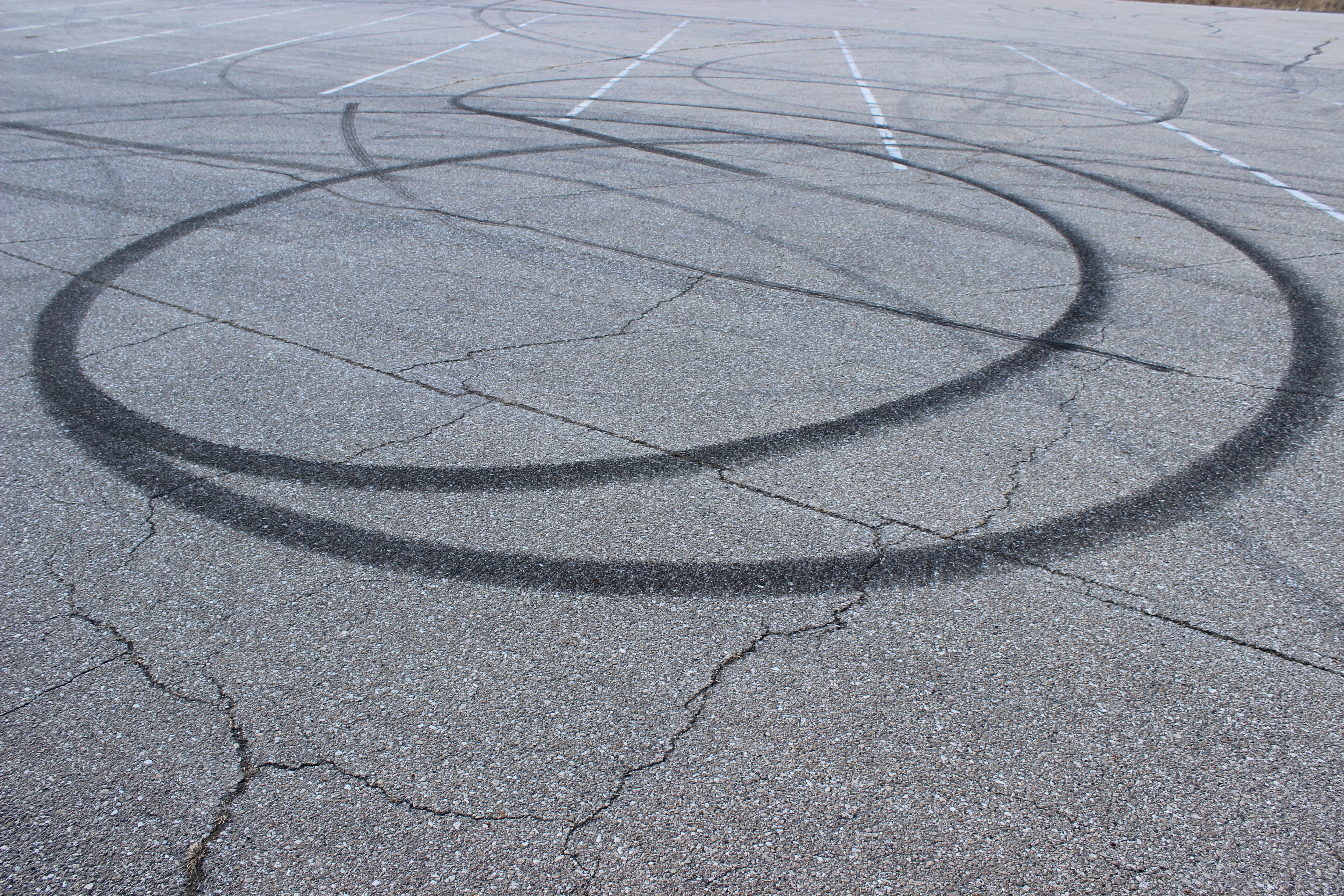 circle study 159