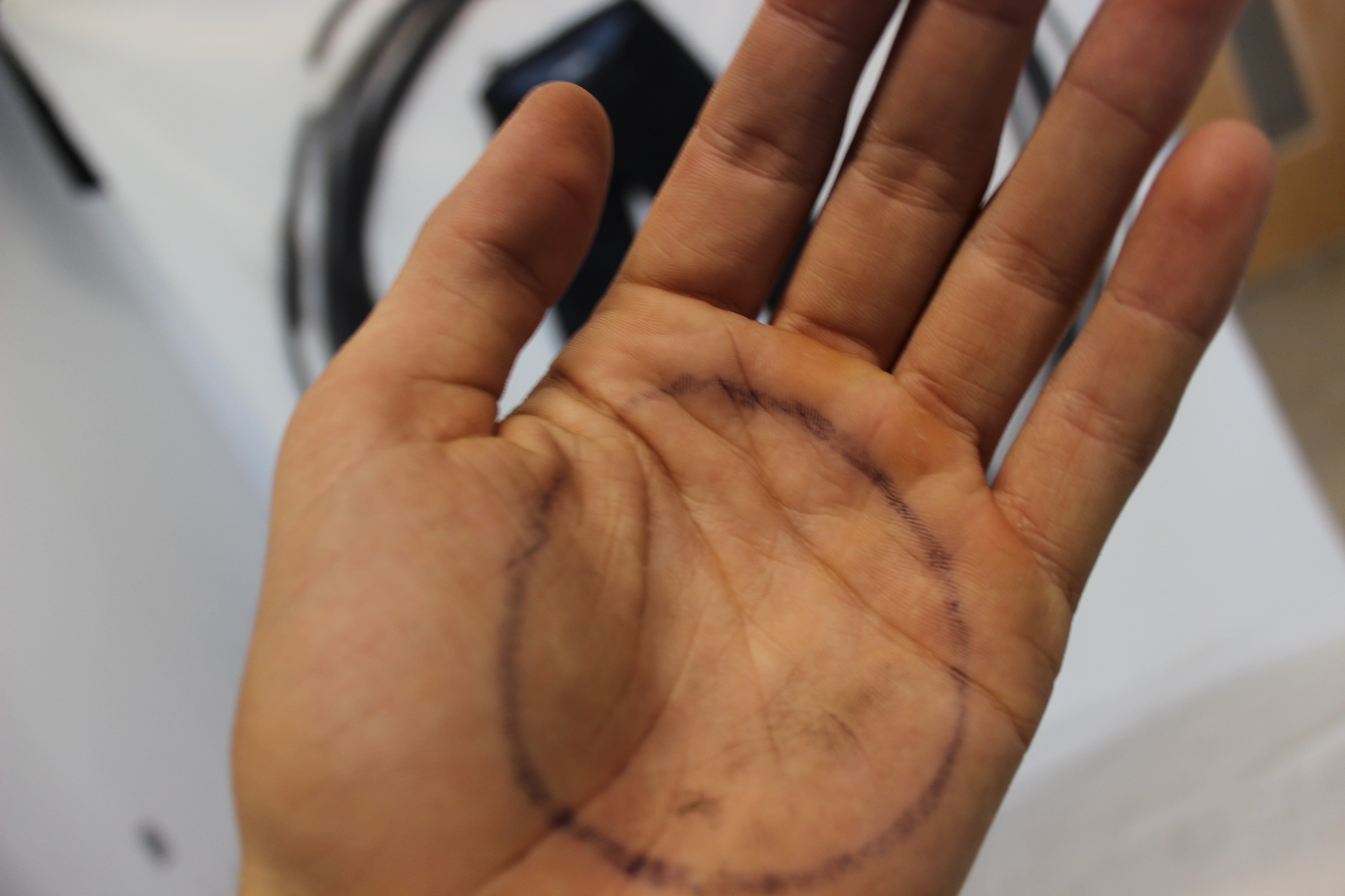 circle study 5