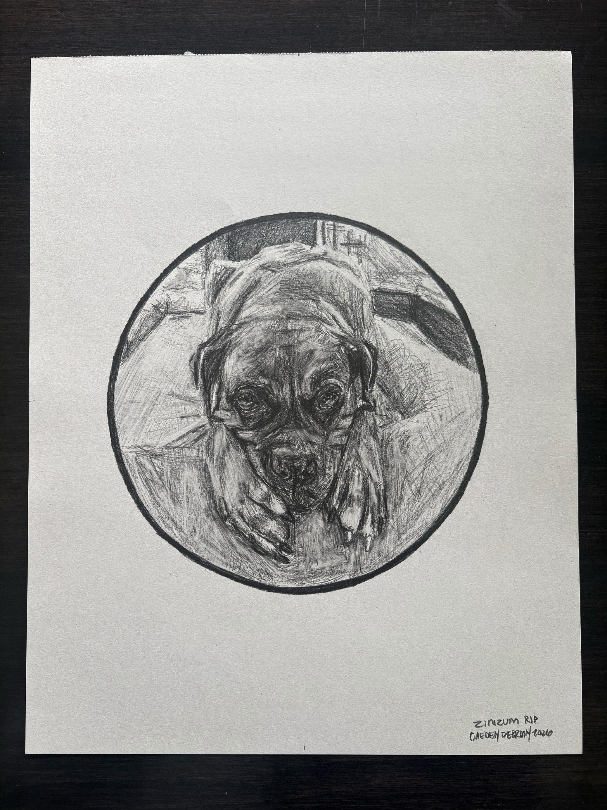 circle study 174
